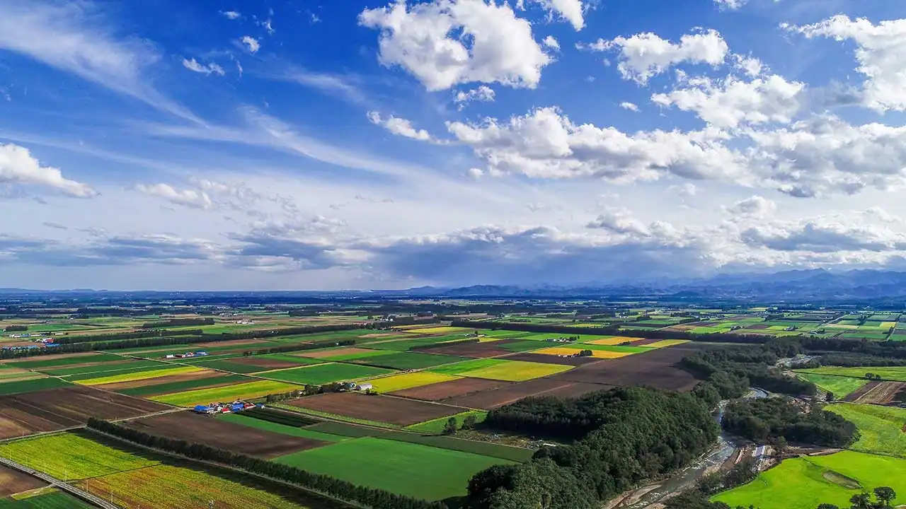 十勝の風景